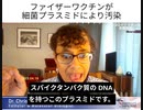 パーク博士解説：ワクチンのDNAプラスミド混入問題、なぜ心配すべきか？腸内細菌がスパイクタンパクを作るように。