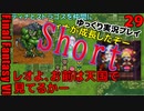 FF6ショート29　フンババ最終戦　ティナ加入　ストラゴス迎えに