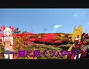 ＮＳ－１で行く！ツツジと芝桜♪