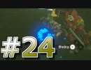 新作発売までに完走を目指すブレワイ実況！part24【ゼルダの伝説 BotW 実況】