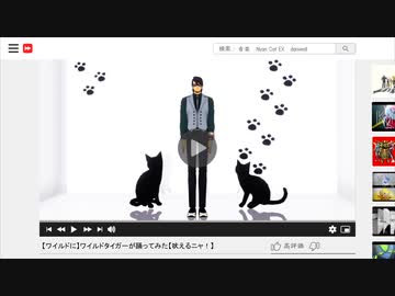 【MMDタイバニ】ワイルドタイガーでNyan Cat EX