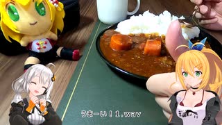 マキさん！消費期限が切れそうです！【11品目】ラム肉のブラウンシチュー