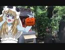 お散歩_熊野神社②