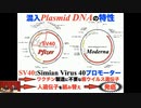 井上正康教授による「プラスミドDNA混入疑惑問題」の解説
