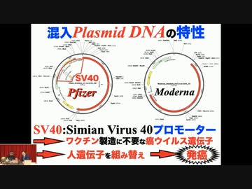 井上正康教授による「プラスミドDNA混入疑惑問題」の解説