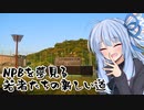 葵ちゃんと野球場へ行こう！　～名門球団を鍛えた猛犬の住処・高知市野球場～