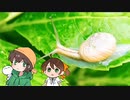 ちんぽこによる朗読☆