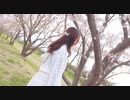 【Fuwa】春泥棒 踊ってみた【オリジナル振付】