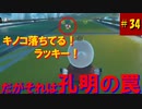 【マリオカート8DX】S2-34 過去一邪悪な野生のキノコ