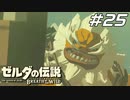 【英傑たちの詩】英傑 ダルケルの詩 ゼルダの伝説 ブレスオブザワイルド マスターモード Part25【ゲーム実況】