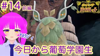 【ポケモンSV】葡萄学園に入学しました＃１４(前編)【むぎちょこ】