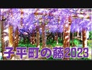 【仙台の藤の名所】子平町の藤2023 2023/05/04