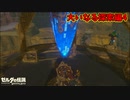 カッシーワもティアキンでないかなぁ【ゼルダの伝説 ブレス オブ ザ ワイルド】#21