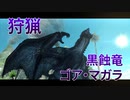 【実況】ぼっちハンターが行く！モンスターハンターXX第38回