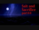 【Salt_and_Sacrifice】無事1周目クリア！！プラチナトロフィー目指して回収作業します【実況】part44