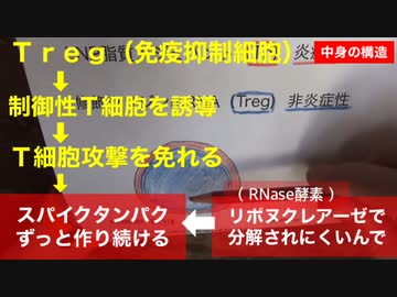 【字幕付き短縮版】鹿先生「mRNAワクチンメーカーの企み」@kinoshitayakuhi