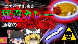 【2017年】意図せず作ってしまった''猛毒カレー''児童70名が突然苦しみだす事態に…二日目のカレーに潜むリスク【ゆっくり解説】