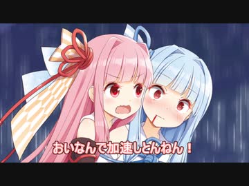 ふわふわ
