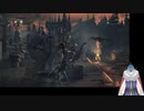 警告無視したら獣にも狩人にも襲われた！？　【Bloodborne】　part7