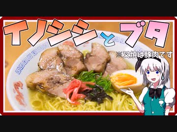 【料理】イノシシとブタでスープをとったラーメンを初心者の霊夢ちゃんが作りました。※チャーシューは豚です【ゆっくり実況】