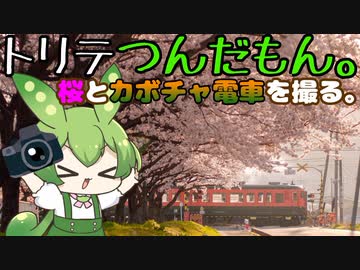 【トリテつんだもん。】南瓜電車、春を往く。【カボチャ電車を追いかけて… #2】