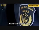 武士の商法で大飢饉の予測