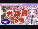 【VOICEVOX旅行】四国めたんのサブカルチャーの聖地 秋葉原散歩