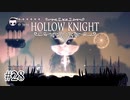 かっこいい釘もらった【Hollow Knight】#28
