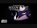 技一つだけの師匠【Hollow Knight】#30