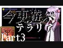 【Terraria】今更遊ぶテラリア Calamity mod [Part.3]