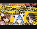 【全体まとめ】こんこよ24の「答えが合わなきゃ終われまてん！」スターアニマルのわちゃわちゃ感で面白かった場面まとめ【ホロライブ切り抜き】