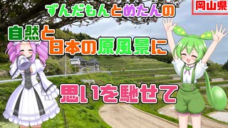 【山奥の絶景 棚田】歴史と日本の原風景に思いを馳せて【VOICEVOX旅行】