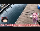 琴葉姉妹と行く釣行記録（釣り堀編part22）
