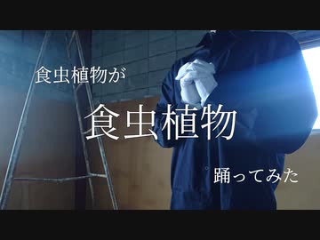 食虫植物が【食虫植物】踊ってみた