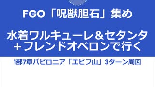 【FGO】「呪獣胆石」集めを水着ワルキューレ＆セタンタ＋フレンドオベロンで3ターン周回