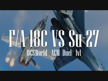 【DCS World】F/A-18でACMの練習をさせてください