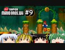 ゆっくりたちが「NewスーパーマリオブラザーズWii」を攻略するよ。part9【ゆっくり実況】
