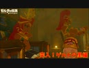 俺英傑ぞ！街入れろや！【ゼルダの伝説 ブレス オブ ザ ワイルド】#23