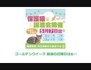 保護ねこの家譲渡会 in 天王寺