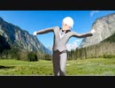 IMAGINARY LIKE THE JUSTICE