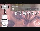 アマツマガツチを5分切りできなかった糞珍歩の覚え書き【MHR:SB】