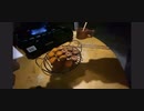 30代広島男児　縁側で『お菓子な燻製Part2』