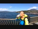 【2023-04-29 ②】箱根峠を（生身で）全速力で攻めてみたっ！！≪のまノマド①≫ 【東海道五十三次】東海道 徒歩の旅　箱根湯本～⑪三島宿