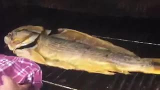 拾い物 焼き魚