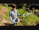 【第137回】山菜②とおもちゃ②と手挽きとふき