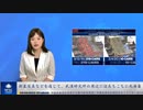 衛星写真などを通じて、武漢研究所の周辺にはあちこちに死体袋