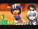 仮免ドライバーアリアルさん #38【マリオカートツアー】