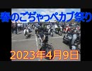 春のごぢゃっぺカブ祭りへ　2023年4月9日