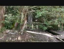 20220711_1 鹿島神宮さんぽVlog