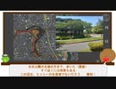【未確認生物調査企画】現地調査　ミッシー（2023.5.5）